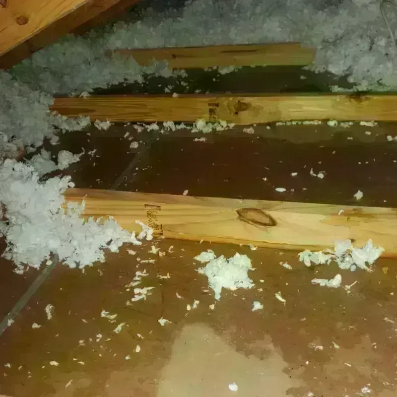 Attic Water Damage in Healdton, OK